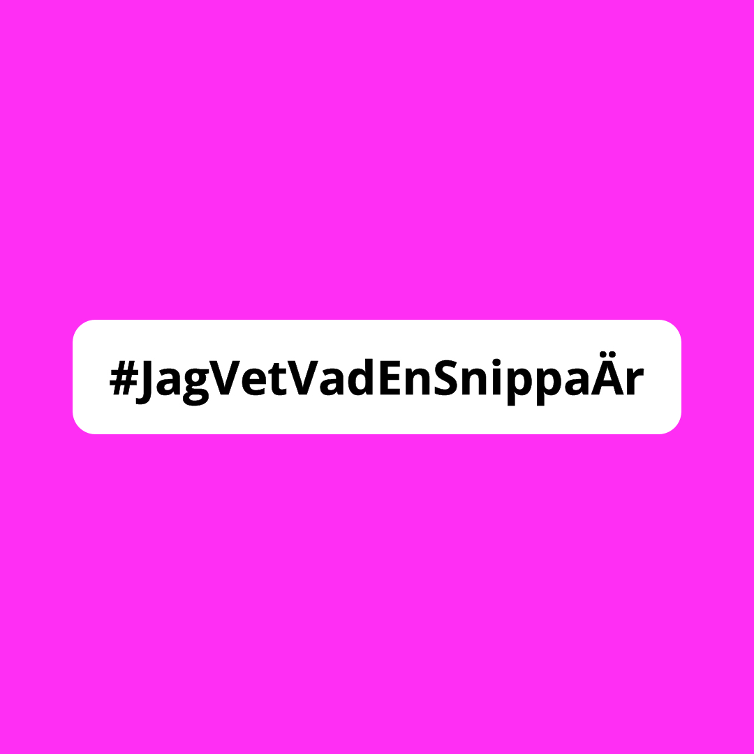JagVetVadEnSnippaÄr